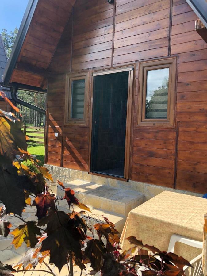 Apartmani Tornik-Planinska Kuca Zdravkovic Dobroselica Esterno foto